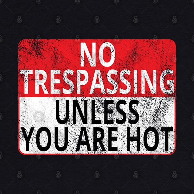 No Trespassing: Unless You Are Hot (Distressed Sign) by albinochicken